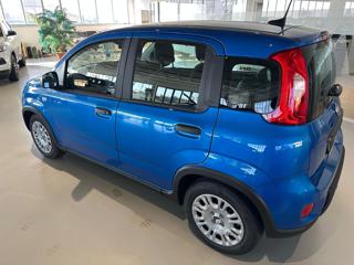 FIAT Panda usata, con Chiusura centralizzata