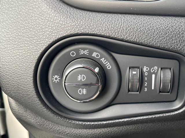 JEEP Renegade usata, con ESP