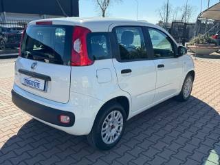 FIAT New Panda usata, con Autoradio