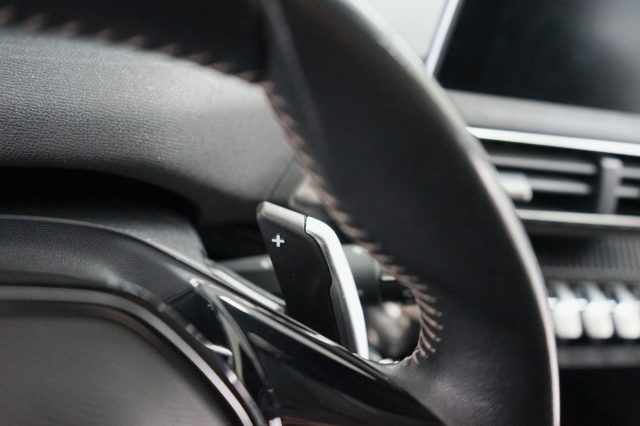 PEUGEOT 3008 usata 54