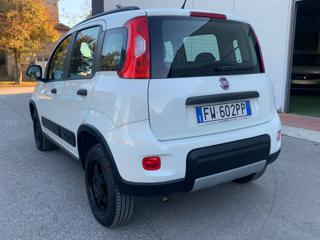 FIAT Panda usata 19