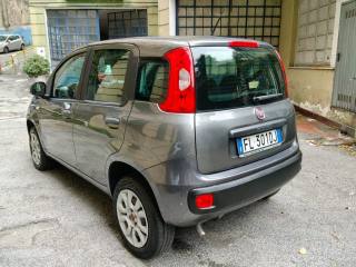 FIAT Panda usata, con Bluetooth
