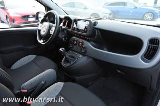 FIAT Panda usata 15