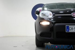 FIAT Panda usata 39