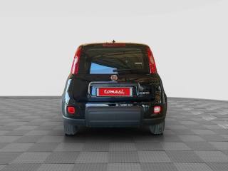 FIAT Panda usata 4