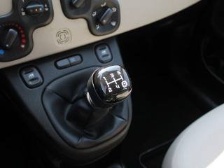 FIAT Panda usata 25