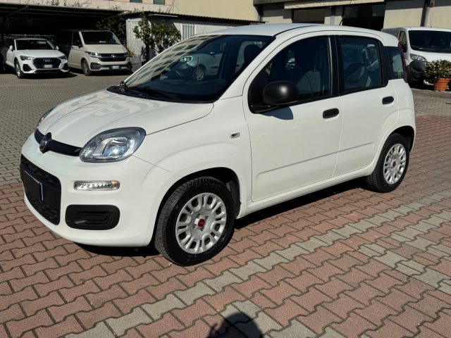 FIAT New Panda usata, con Alzacristalli elettrici