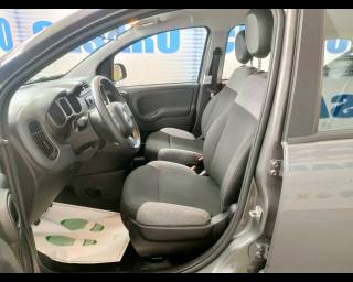 FIAT New Panda usata 12