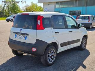 FIAT Panda usata, con Alzacristalli elettrici