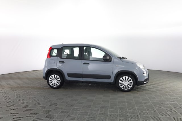 FIAT Panda usata 2
