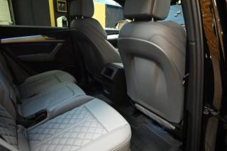 AUDI SQ5 usata 54