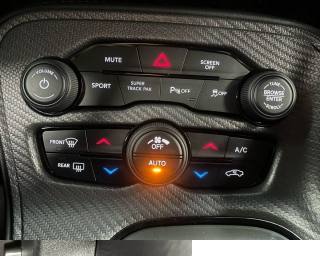 DODGE Challenger usata 12