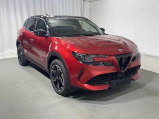 ALFA ROMEO Junior usata, con Climatizzatore