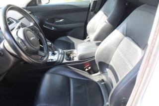 JAGUAR F-Pace usata, con Fari Xenon