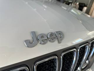JEEP Renegade usata, con Climatizzatore