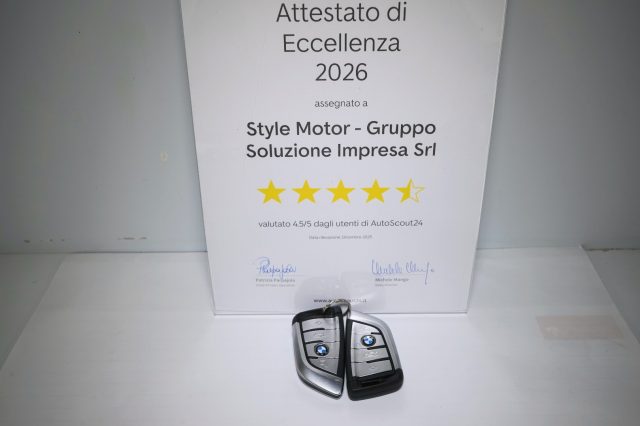 BMW 530 usata 41