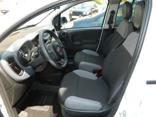 FIAT Panda usata, con Servosterzo