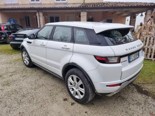LAND ROVER Range Rover Evoque 2.0 TD4 150 CV 5p. SE Dynamic