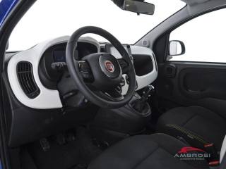 FIAT Panda usata 7