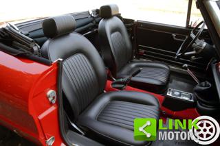 ALFA ROMEO Spider usata 19