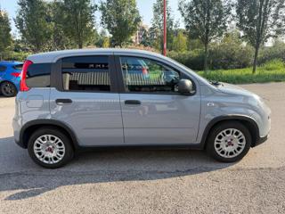FIAT Panda usata, con Autoradio