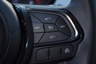 FIAT 500X usata, con Park Distance Control