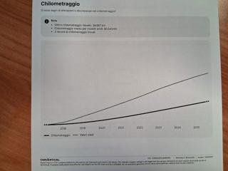 NISSAN Leaf usata 32
