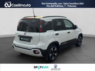 FIAT Panda usata, con Alzacristalli elettrici