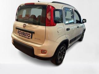 FIAT Panda usata, con Alzacristalli elettrici
