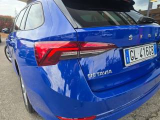 SKODA Octavia usata 114