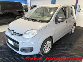 FIAT Panda usata, con Airbag Passeggero