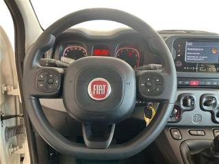 FIAT Panda usata 23