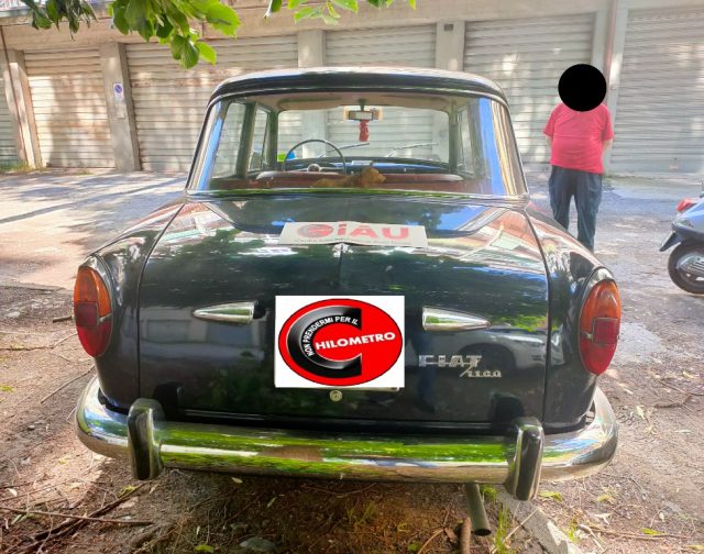 FIAT 1100 usata 4