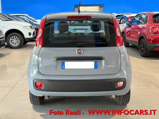 FIAT Panda usata 15