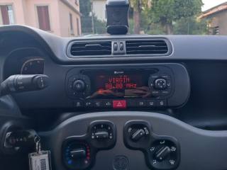 FIAT Panda usata, con Volante multifunzione