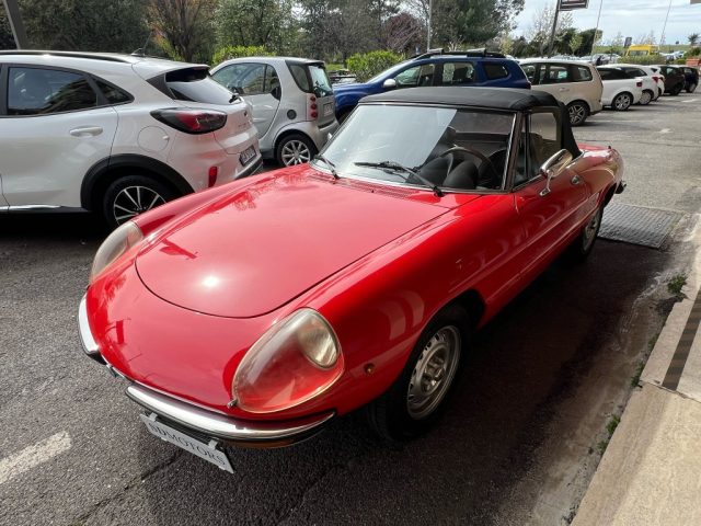 ALFA ROMEO Spider usata 7