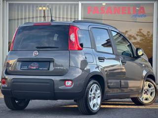 FIAT Panda usata, con Controllo trazione