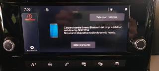 SEAT Ibiza usata 25