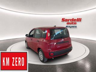 FIAT Pandina usata, con Airbag Passeggero