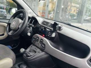 FIAT Panda usata, con Trazione integrale