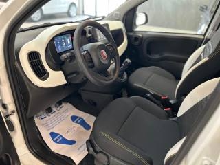 FIAT Panda usata, con Antifurto
