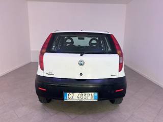 FIAT Punto usata 7