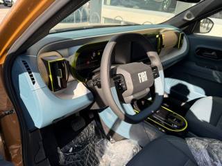 FIAT Grande Panda usata, con Airbag testa
