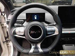 BYD Dolphin usata 22