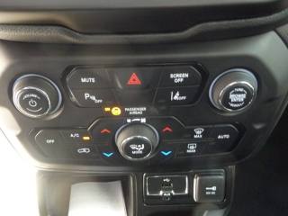 JEEP Renegade usata, con Cerchi in lega