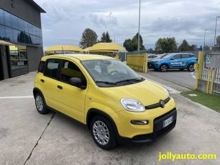 FIAT Panda usata, con Airbag Passeggero