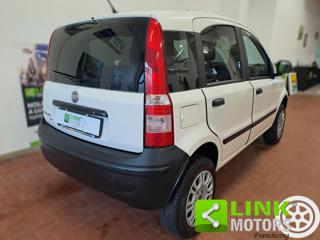 FIAT Panda usata 13