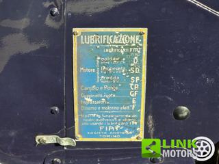 FIAT Balilla usata 23