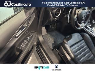 ALFA ROMEO Stelvio usata, con Fendinebbia