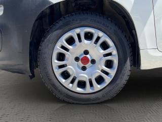 FIAT Panda usata 14